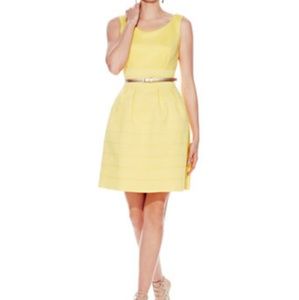 New/Never Worn Bandage Fit & Flare Dress